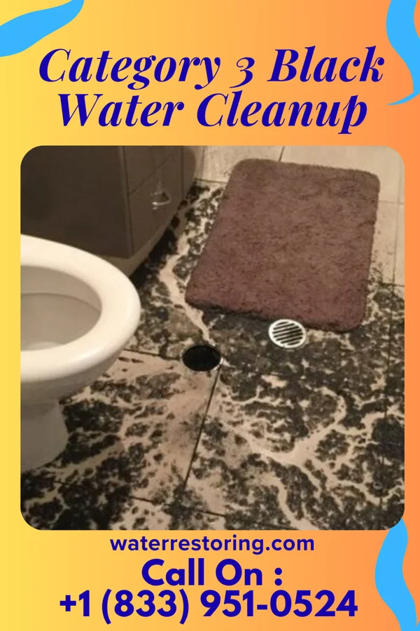 Category 3 Black Water Cleanup in Laurelville, OH