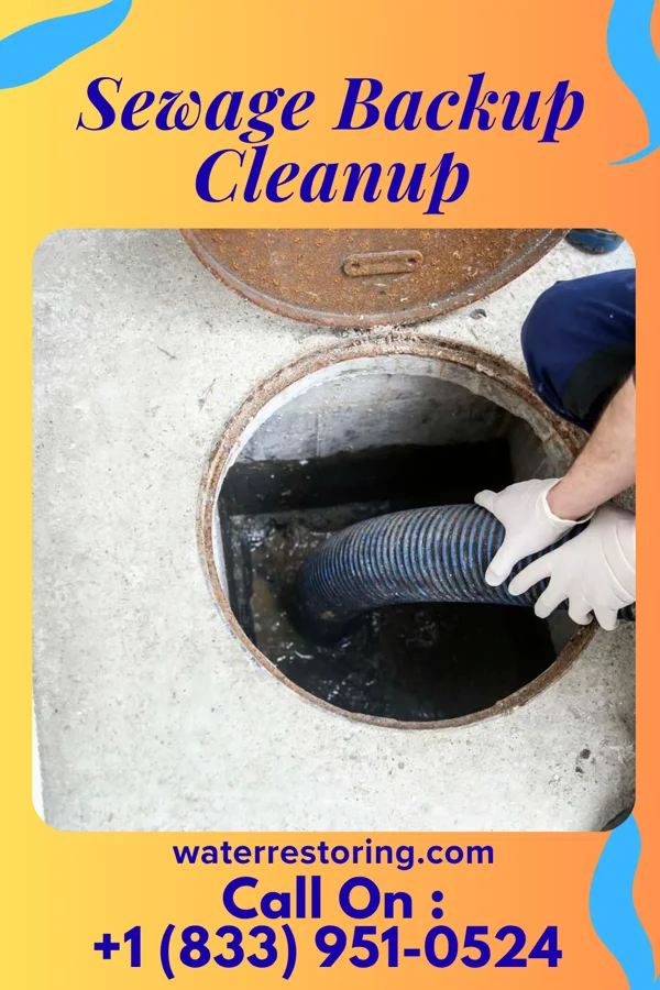 Sewage Backup Cleanup in Laurelville, OH