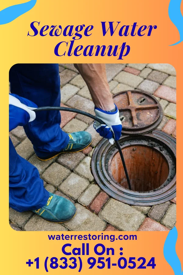 Sewage Water Cleanup in Laurelville, OH