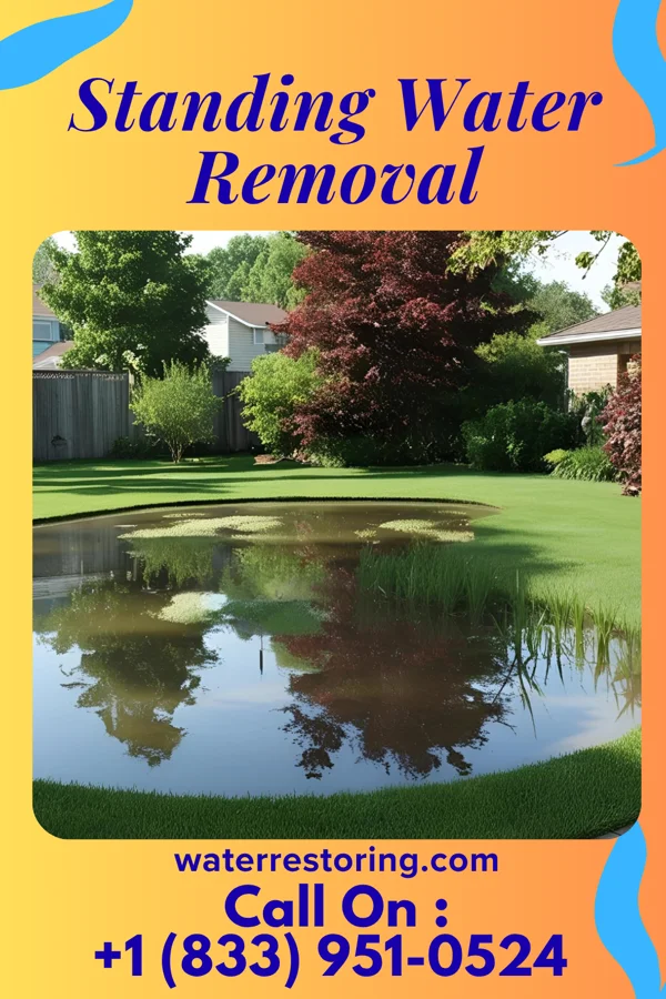 Standing Water Removal in Laurelville, OH